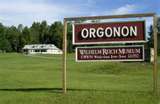 Orogonon